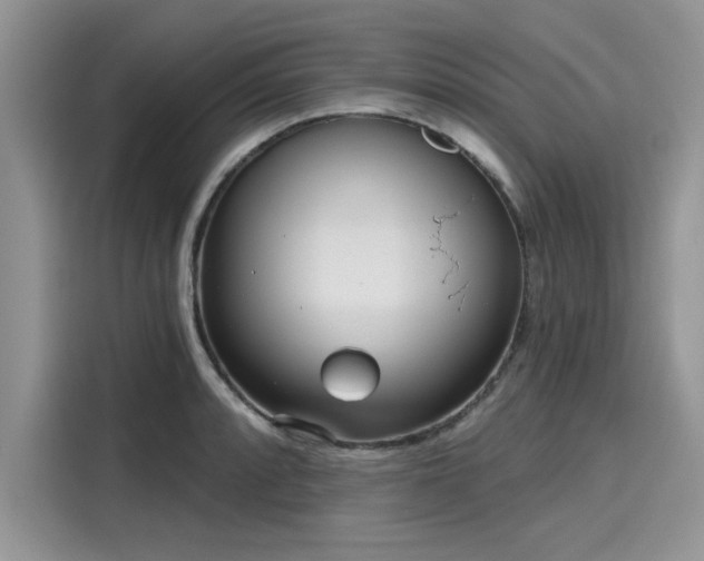 X0000116111088200911301118