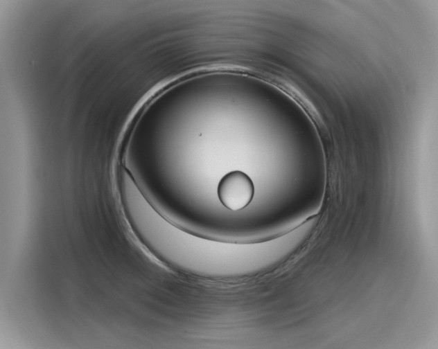 X0000116111092200911301118