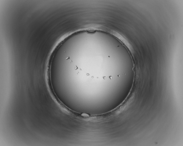 X0000116111093200911301118