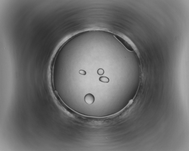 X0000116111096200911301118