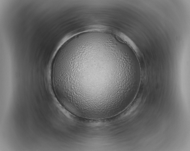 X0000116111099200911301118