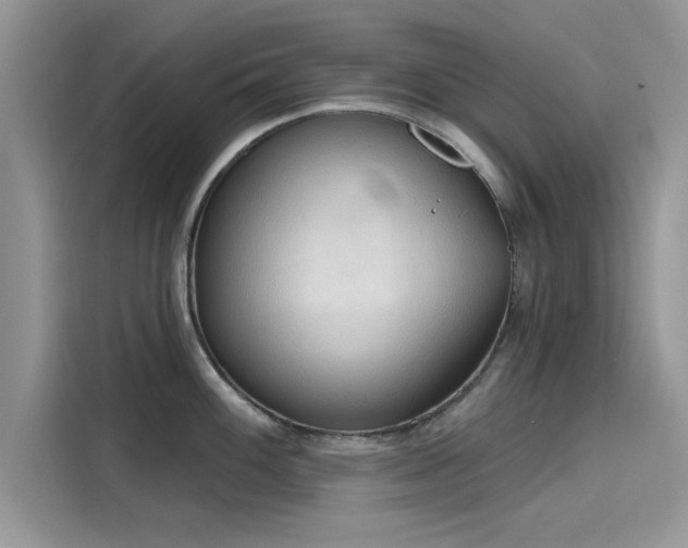 X0000116111100200911301118