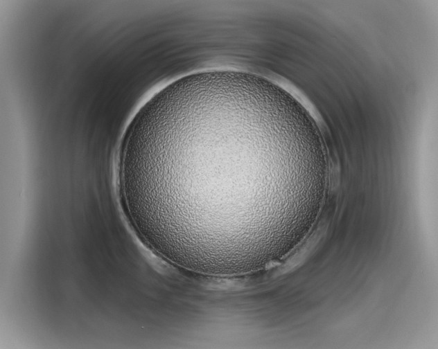 X0000116111101200911301118