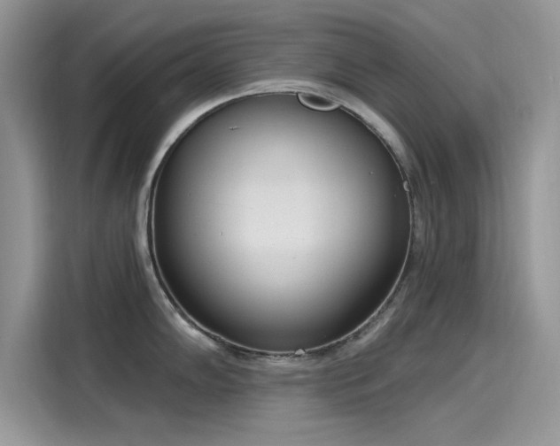 X0000116111102200911301118