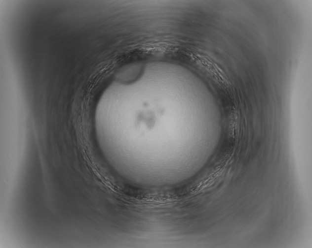 X0000116111105200911301117