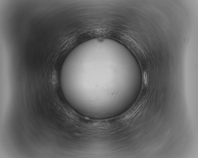 X0000116111107200911301117