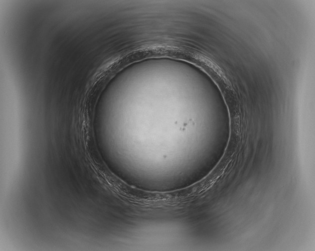 X0000116111111200911301117