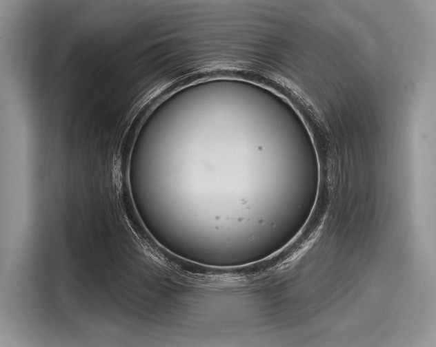 X0000116111113200911301117