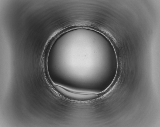 X0000116111114200911301117