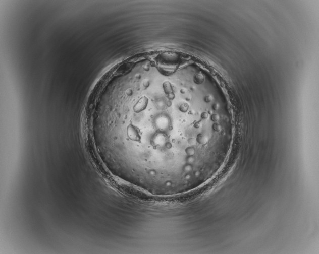 X0000116111117200911301117