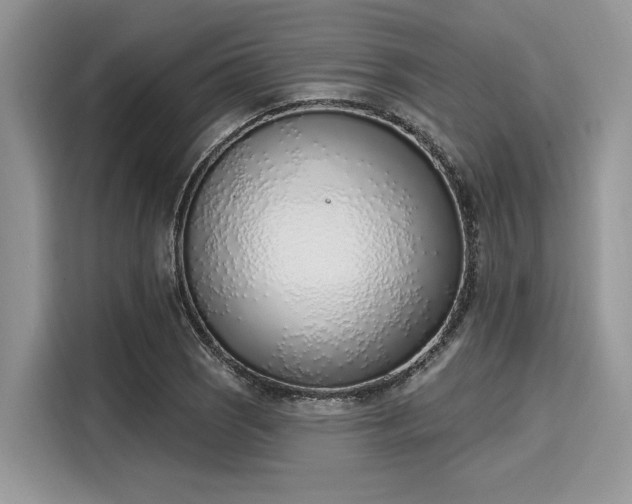 X0000116111121200911301117