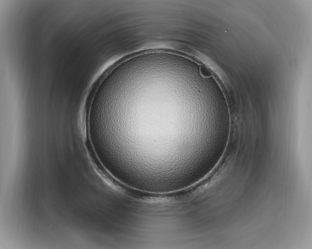 X0000116111127200911301117