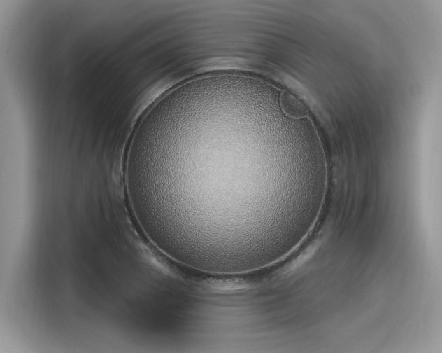 X0000116111129200911301117