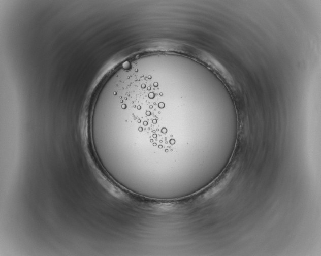 X0000116111130200911301117