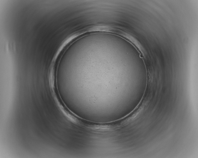 X0000116111131200911301117