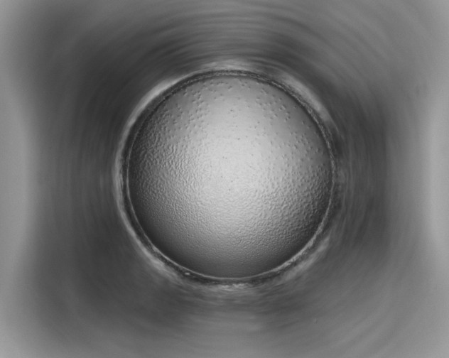 X0000116111133200911301117