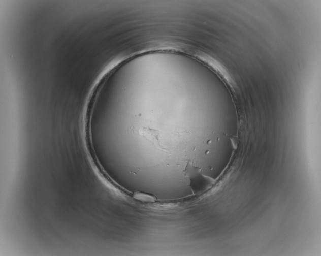 X0000116111135200911301117