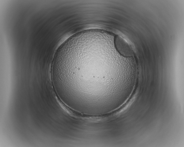 X0000116111137200911301117