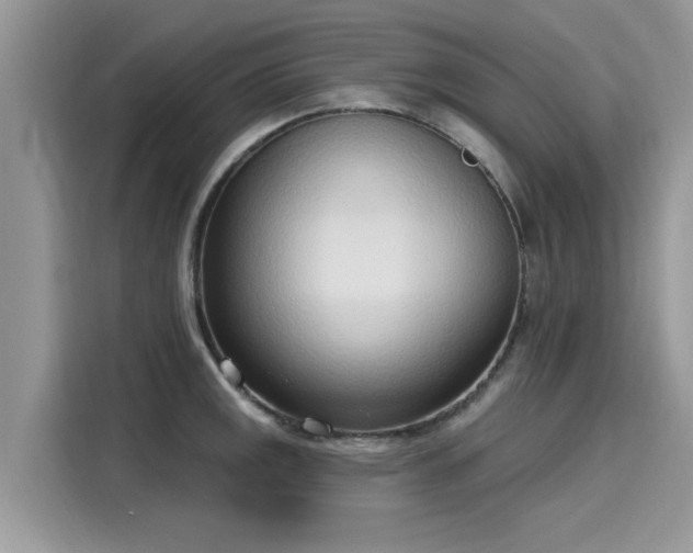 X0000116111141200911301118