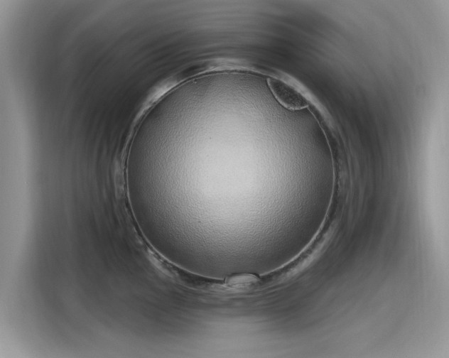 X0000116111145200911301118