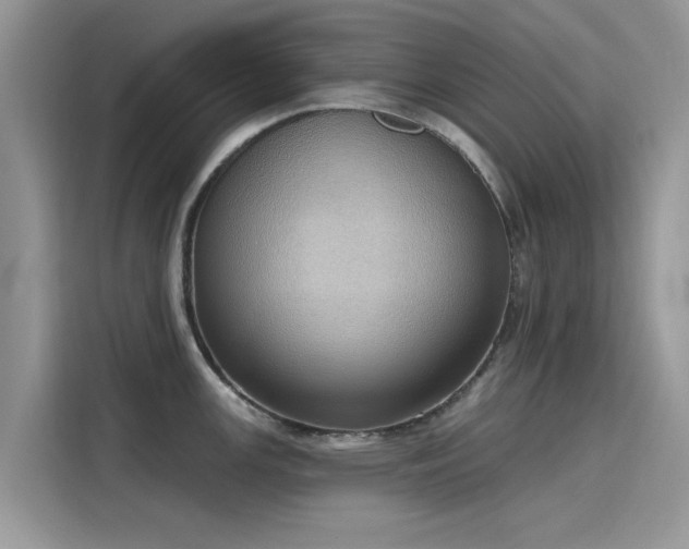 X0000116111147200911301118