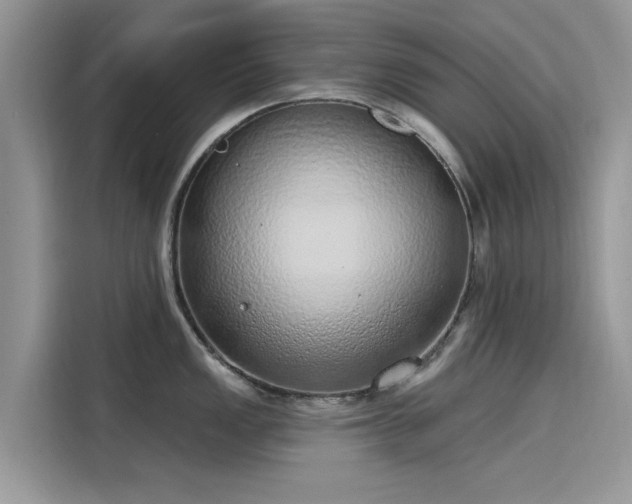 X0000116111149200911301118