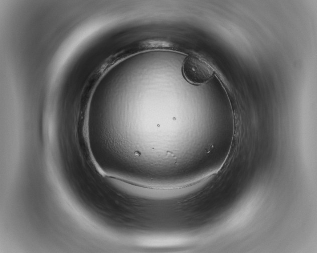 X0000116111151200911301118