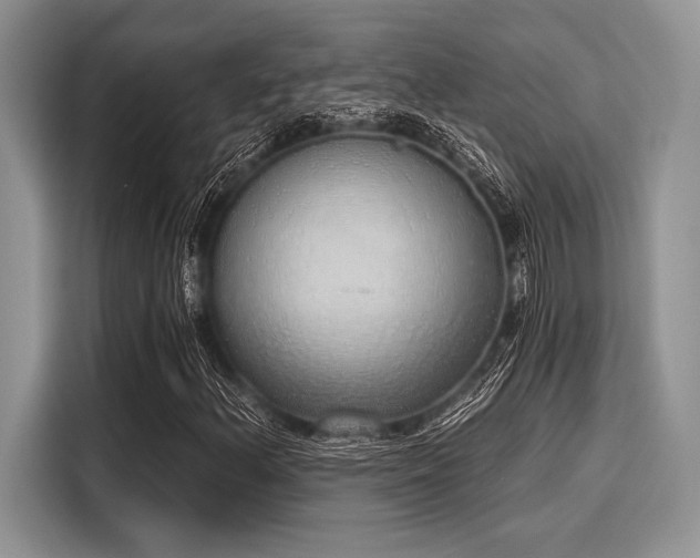 X0000116111156200911301117