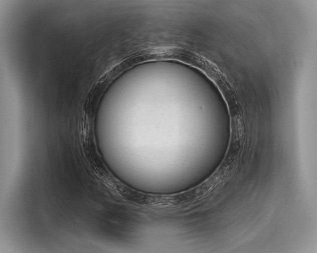 X0000116111158200911301117