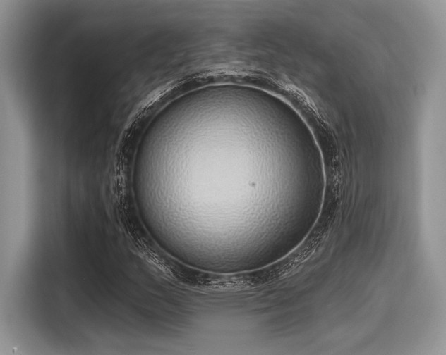 X0000116111159200911301117