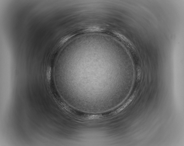 X0000116111161200911301117