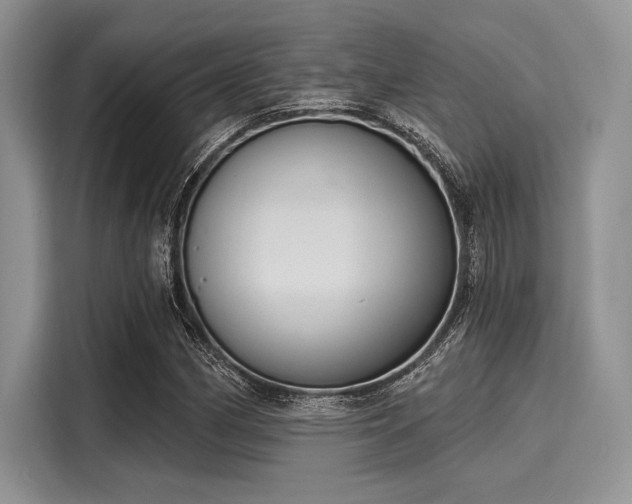 X0000116111162200911301117