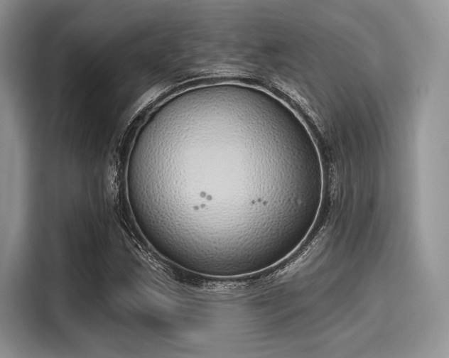 X0000116111163200911301117