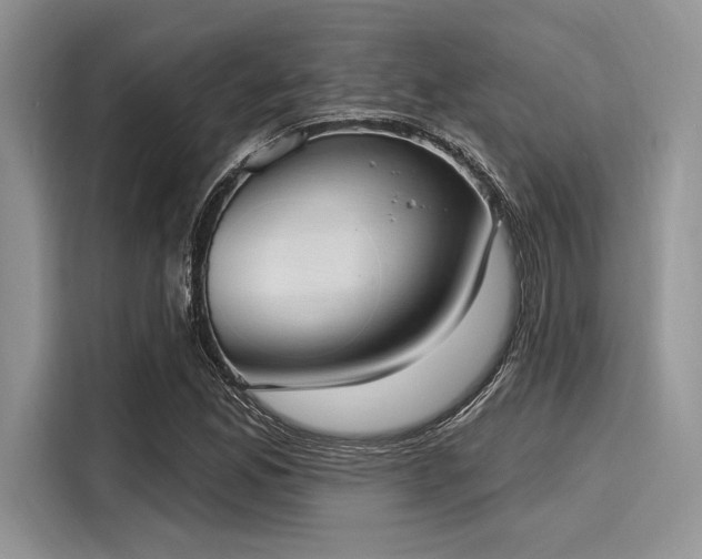 X0000116111165200911301117