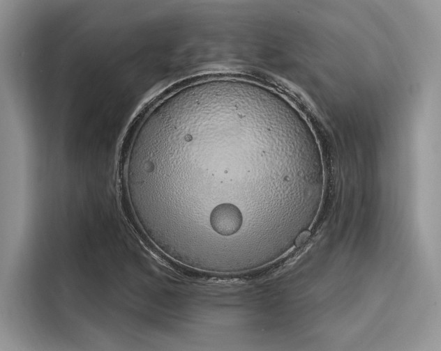 X0000116111168200911301117