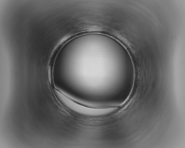 X0000116111171200911301117