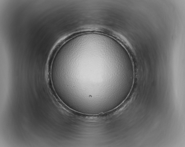 X0000116111172200911301117