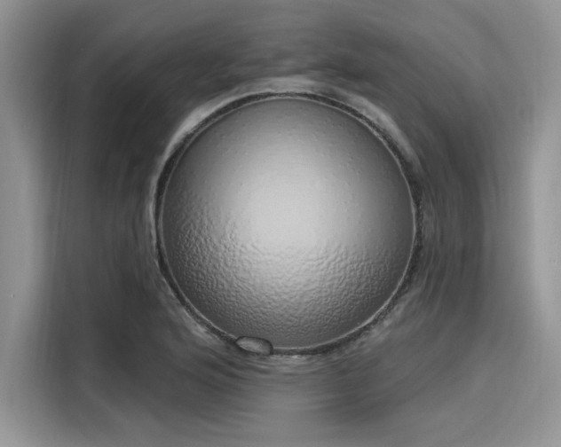 X0000116111176200911301117