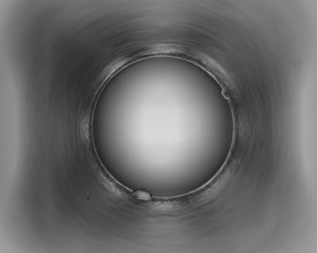 X0000116111177200911301117