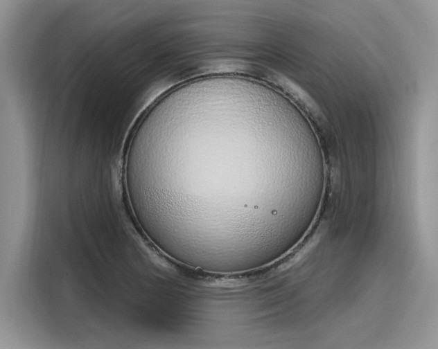 X0000116111178200911301117