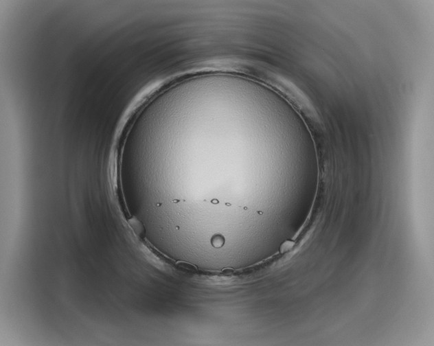 X0000116111180200911301117