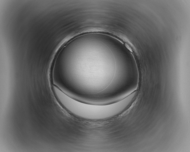 X0000116111181200911301117