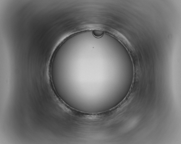 X0000116111182200911301117