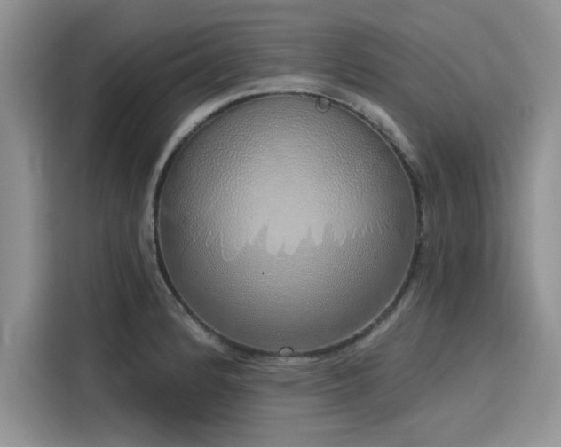 X0000116111184200911301117