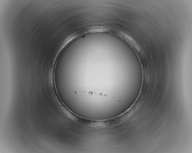 X0000116111186200911301117