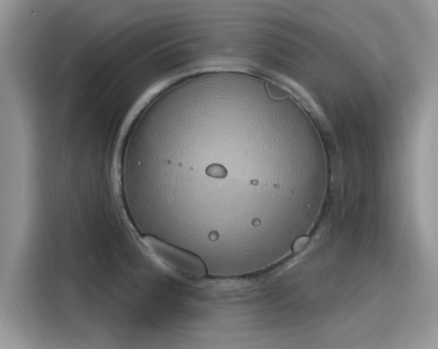 X0000116111188200911301117