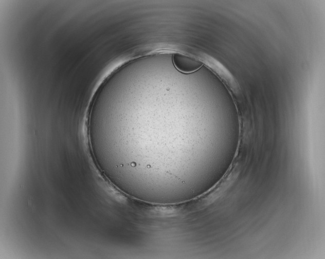 X0000116111190200911301117