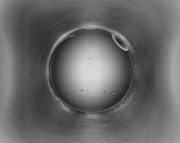 X0000116111191200911301117