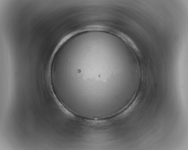 X0000116111192200911301117