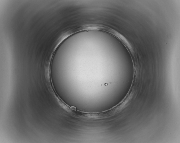 X0000116111194200911301117